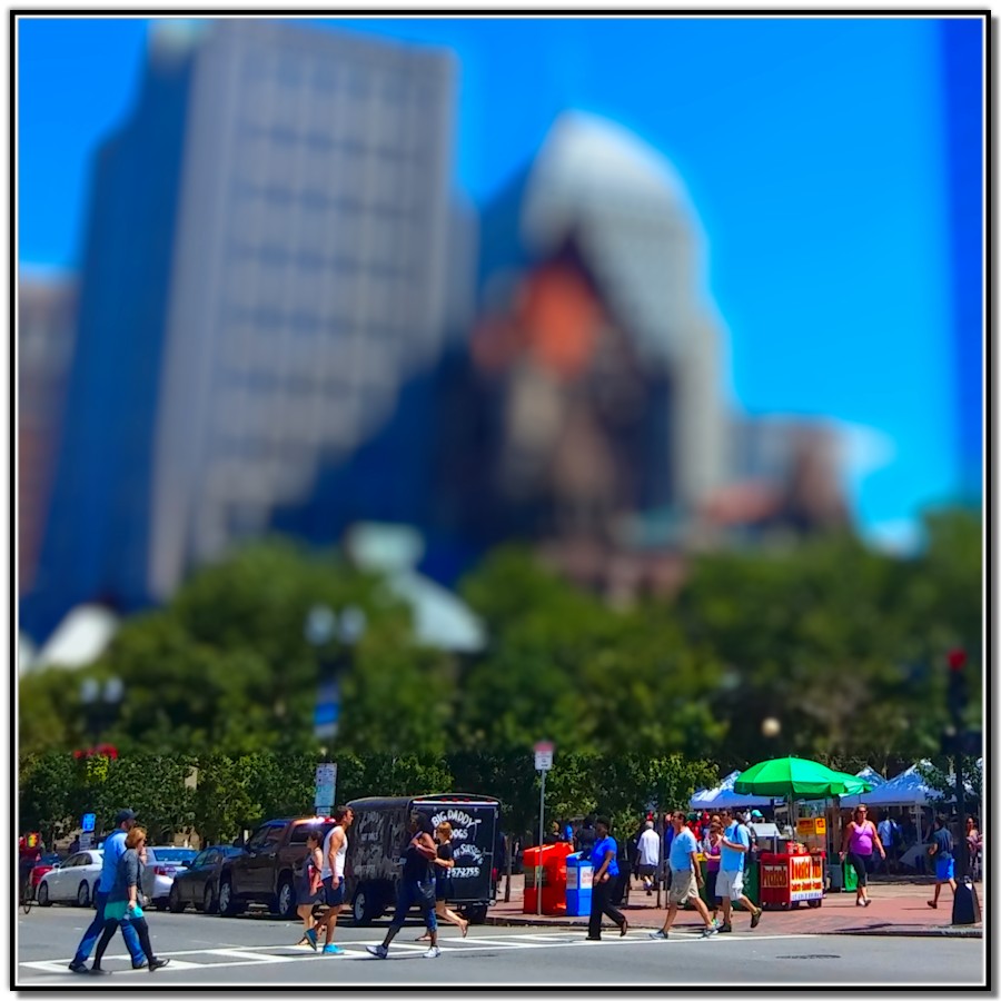 20150731_132044-selective-focus2