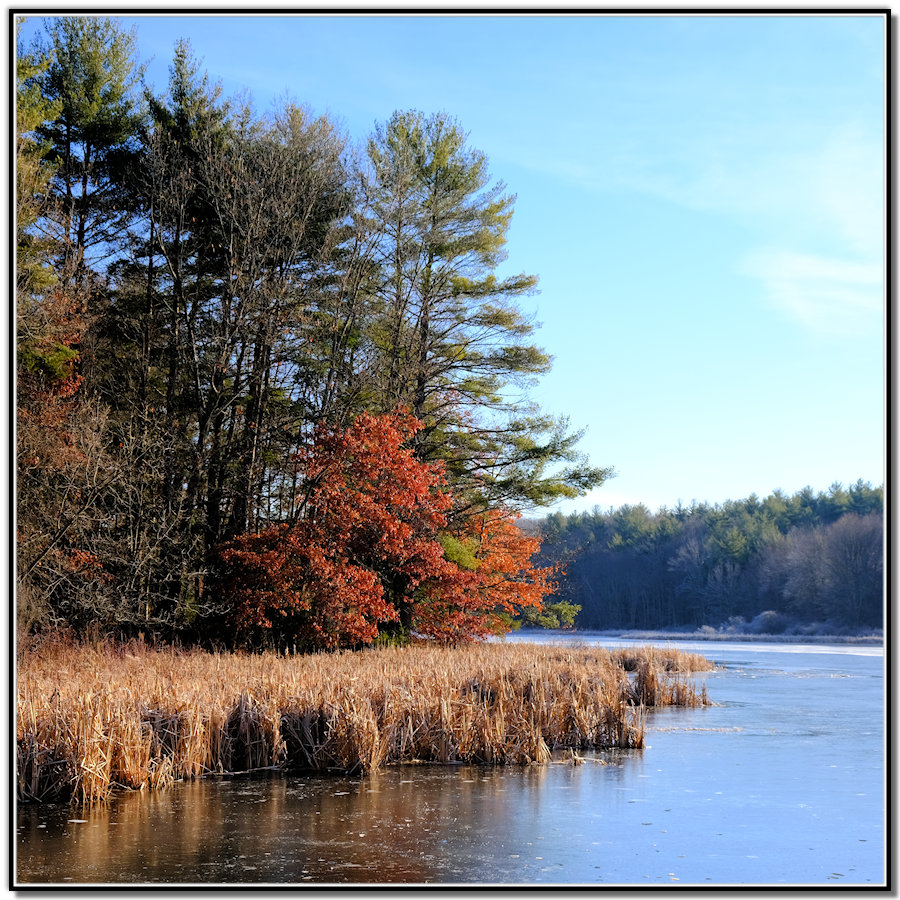 Fitzgerald Lake Conservation Area